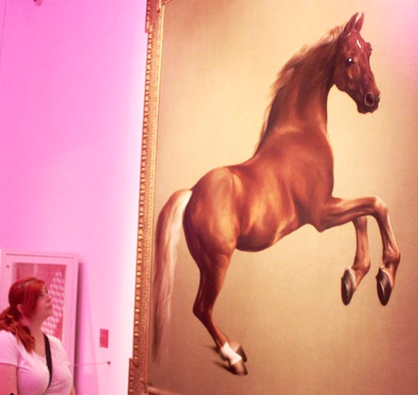 whistlejacket-racehorse-hancock-museum-great-exhibition-north