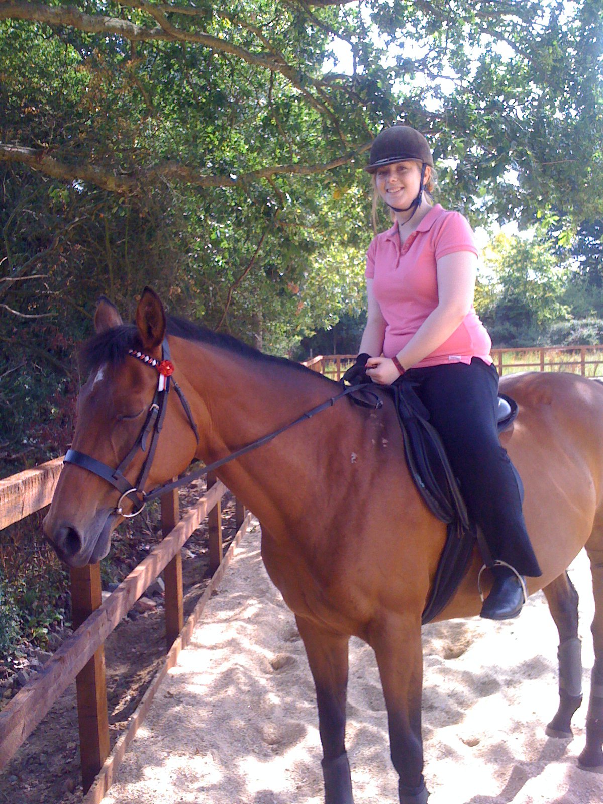 thoroughbred-mare-chestnut-riding-lesson