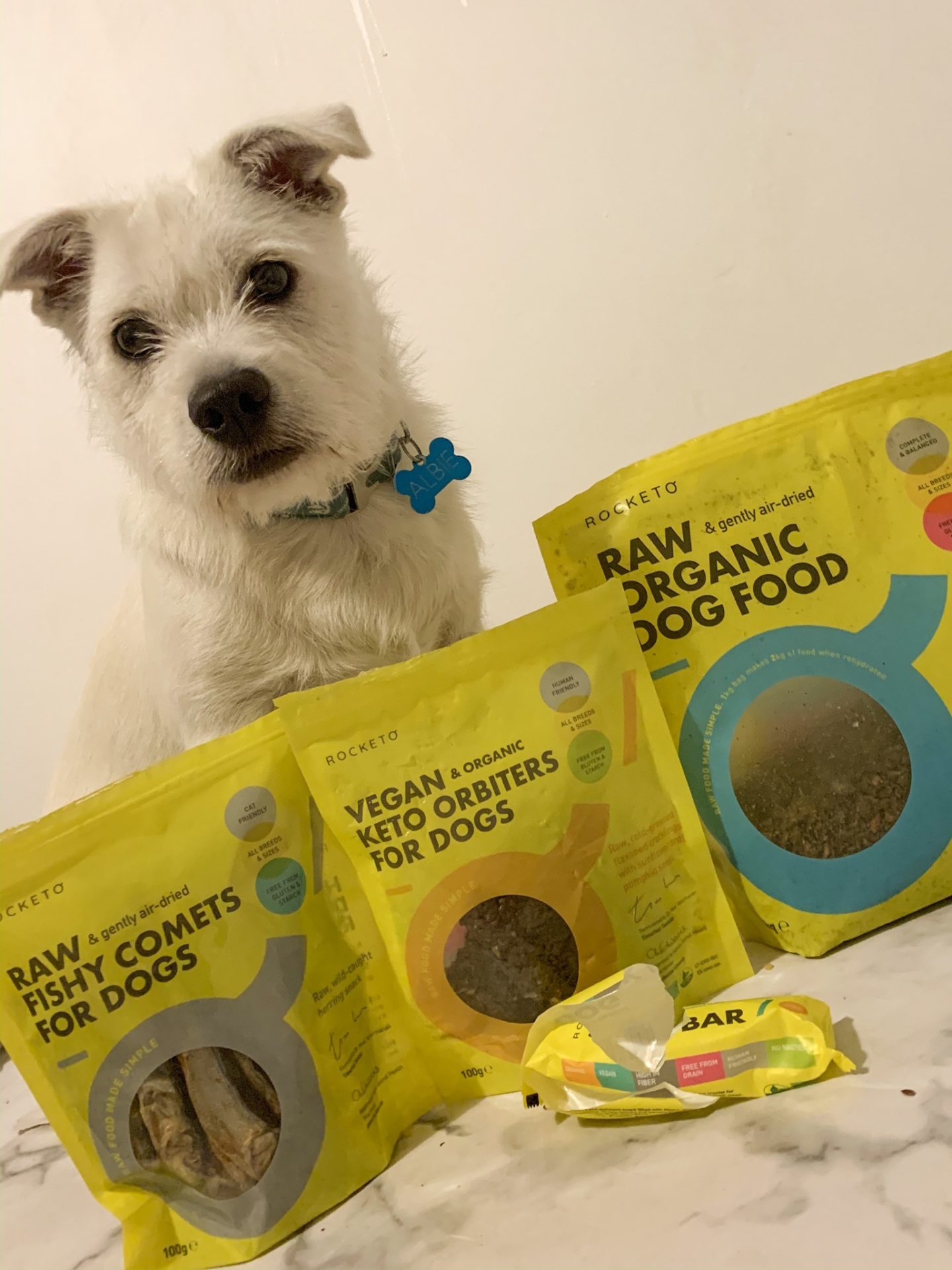 Is Rocketo raw dog food good for your dog? | Review